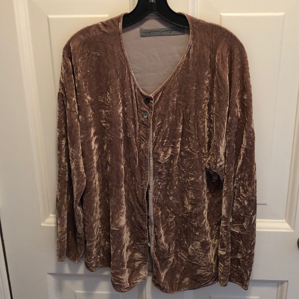 Raquel Allegra LA Crushed Velvet Champagne Shirt